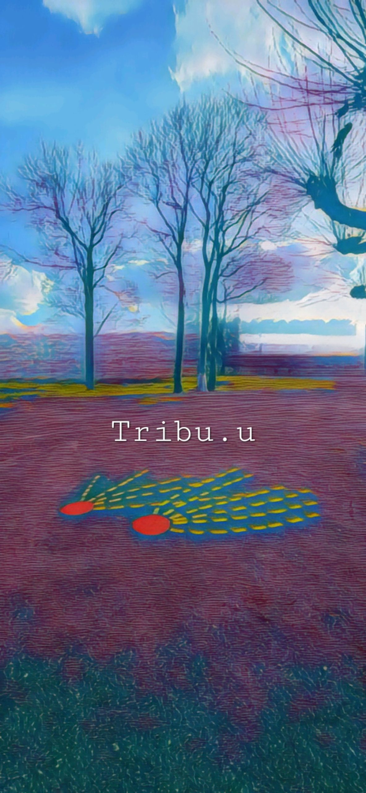Tribuu